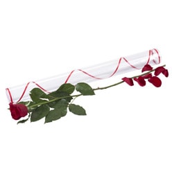 Ankara  çiçekçi satışı sitemizden harika görüntülü 1 adet kırmızı gül