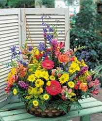 Kaliteli ve fiyatı ucuz bir ürün Özel Karışık mevsim sepeti çiçeği Ankara çiçek gönder firması şahane ürünümüz