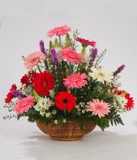 Ankara  Yenimahalle Çiçekçi firma ürünümüz Karışık Gerbera mevsim sepeti çiçeği Ankara çiçek gönder firması şahane ürünümüz